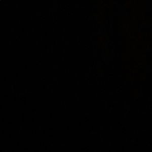 Meet your Posher, Regan